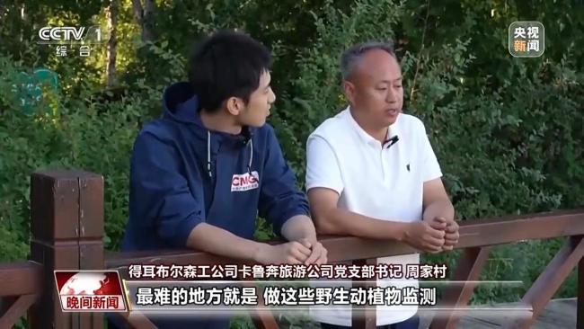 停伐十年 看“綠色寶庫(kù)”大興安嶺的轉(zhuǎn)型路→