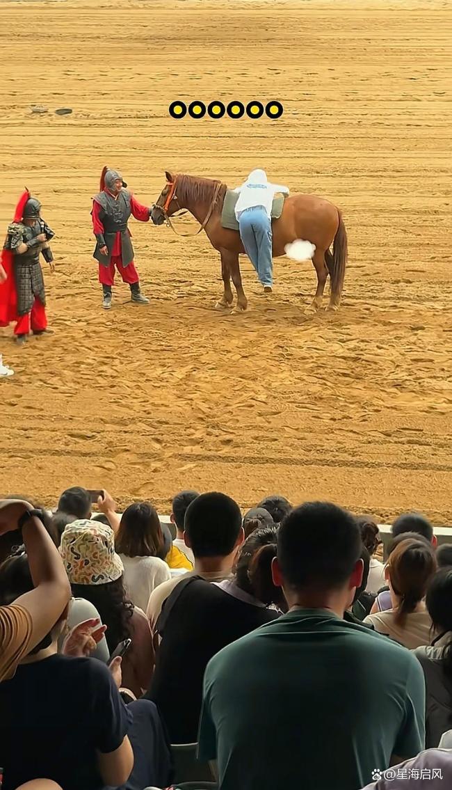 河南开封游客表演花式“飞身上马” 笑料百出引围观