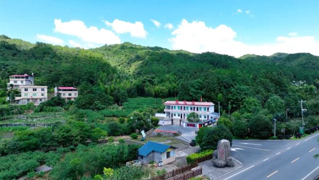 近觀“兩山”丨青山蝶變幸?？可?/></p><p data-source=