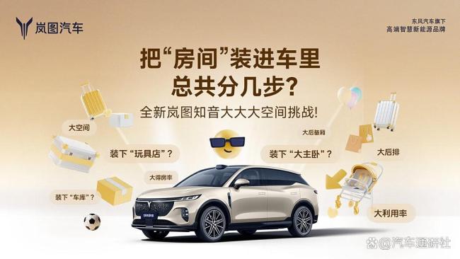 岚图知音拒绝电动毛坯房