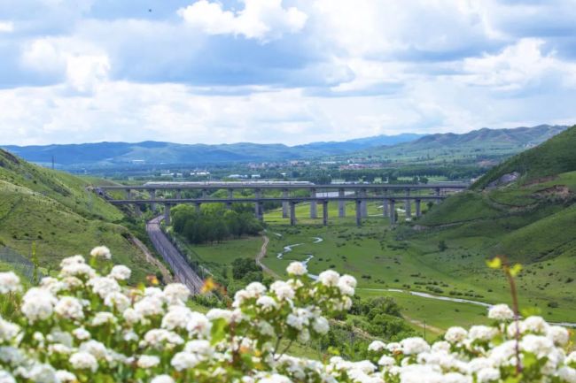 每一張都是壁紙！看火車行駛在草原“畫廊”