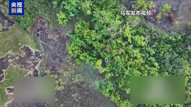 “特普會”在即 歐美烏通氣確定對俄立場