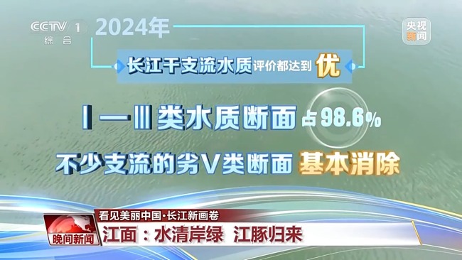 看见美丽中国丨“共抓大保护,不搞大开发” 长江新画卷正徐徐展开