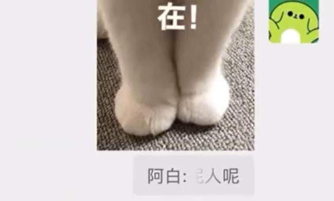 微信聊天又有新功能 精准引用更便捷