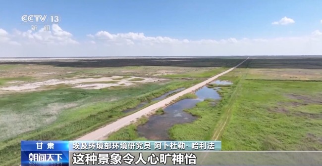 我國治沙有多牛？西北大漠變身“菜籃子”