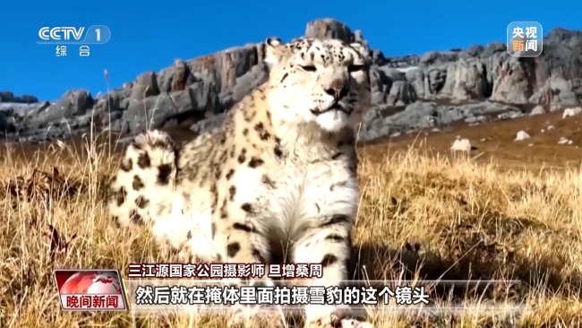 看見美麗中國丨三江源20年蛻變:千湖歸來 “中華水塔”煥新生