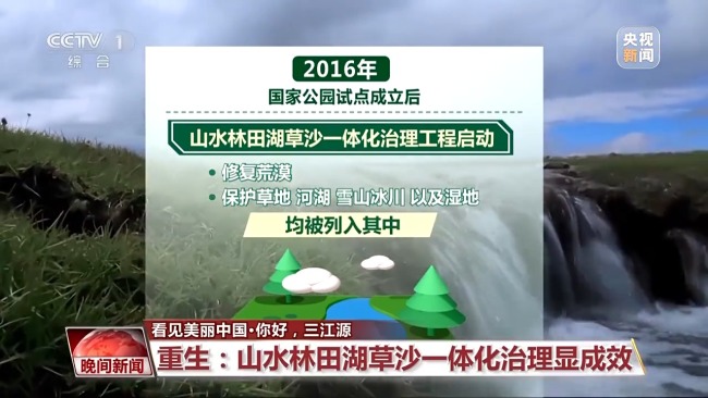 看見美麗中國丨三江源20年蛻變:千湖歸來 “中華水塔”煥新生