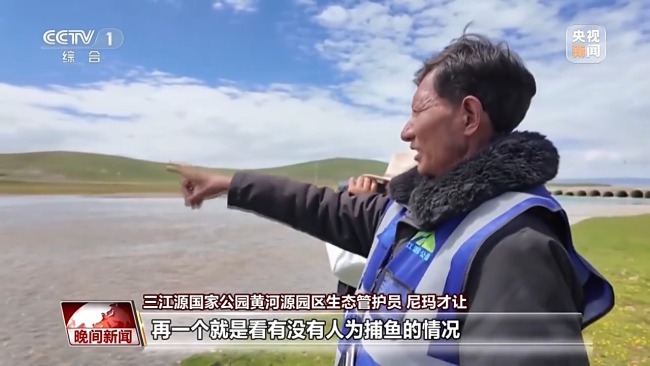 看見美麗中國丨三江源20年蛻變:千湖歸來 “中華水塔”煥新生