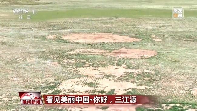 看見美麗中國丨三江源20年蛻變:千湖歸來 “中華水塔”煥新生