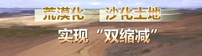 看見美麗中國丨三江源20年蛻變:千湖歸來 “中華水塔”煥新生