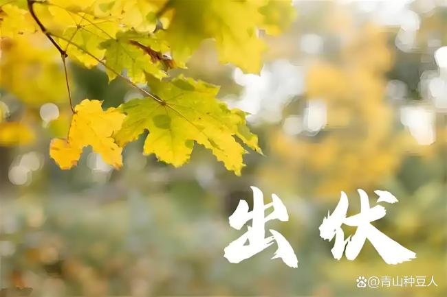 两天后出伏，老人说“出伏雨，一冬温”