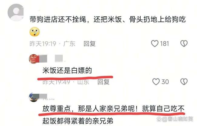 食客带狗没拴绳店主提醒反被打 文明养犬引热议