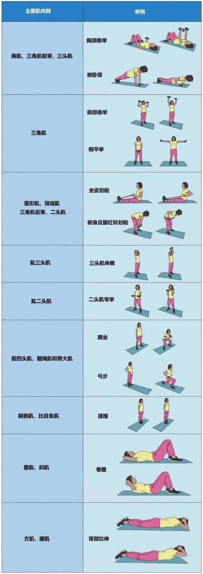 被低估了的“抗癌运动” 不是走路 抗阻运动显著抑制癌细胞