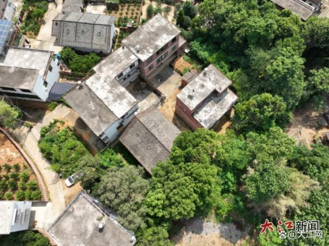 江西少年要带着爸爸上大学 孝心与梦想同行