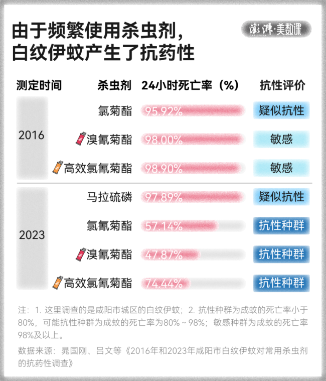 全球