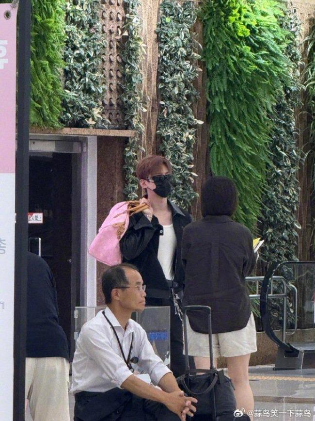 龙丹妮白敬亭抵达韩国