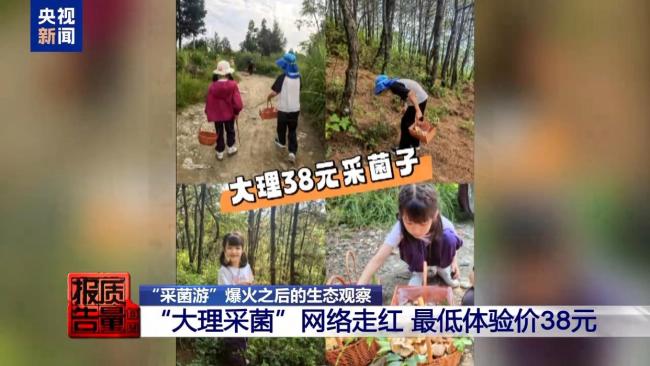 央视曝采菌游无序乱象 生态破坏引关注