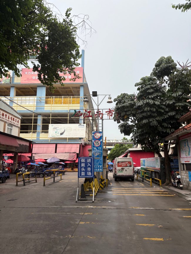 阳光玫瑰 沦为路边摊水果 价格跌至历史低位