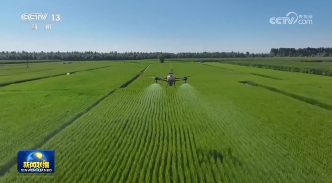 【新思想引領(lǐng)新征程】保護(hù)好黑土地 筑牢國家糧食安全根基