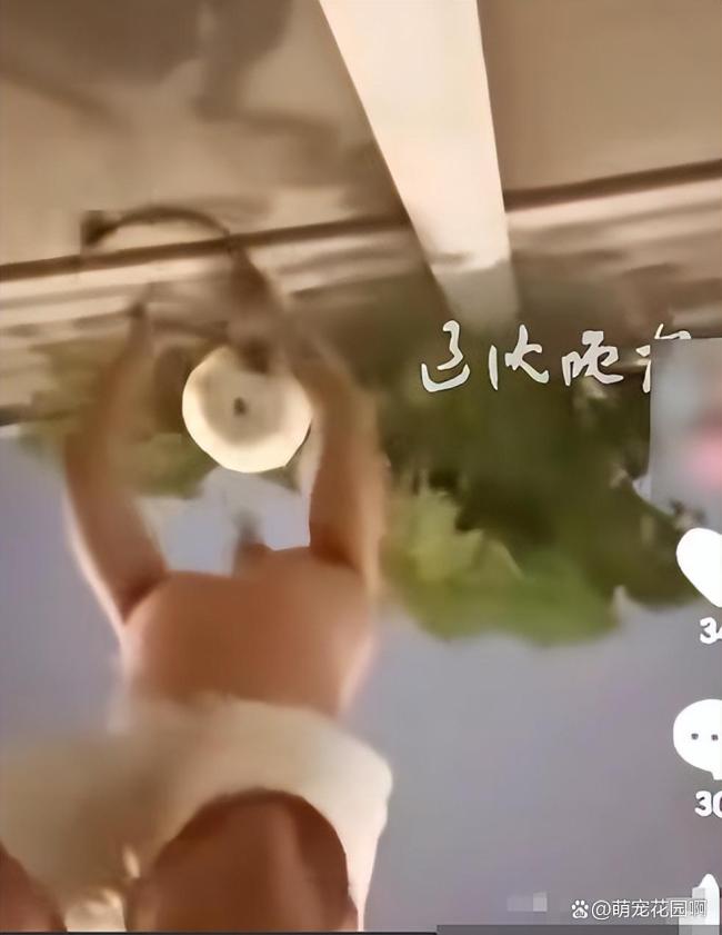 男子沈阳二环违停摘葫芦 自曝偷走引发争议