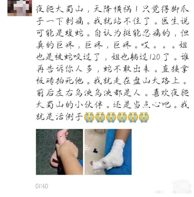 女子穿拖鞋夜爬大蜀山被蝮蛇咬伤