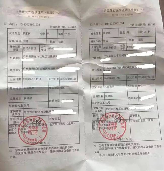 17岁高三男孩救落水婆婆溺亡 英勇行为获表彰