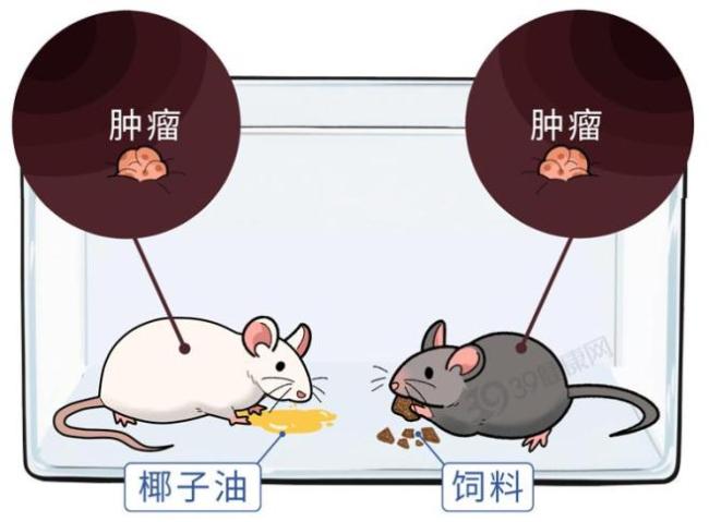 这3种常见食用油，竟是癌症催化剂！快看你家有没？