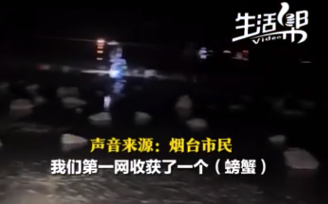 女子今年第一次赶海就“爆桶” 收获十几斤螃蟹