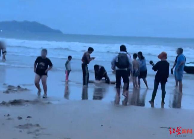 四川男子在三亚不幸溺亡 家属悲痛欲绝