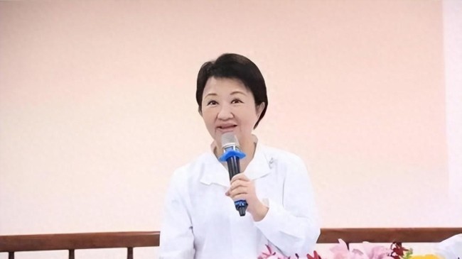 郑丽文:要让国民党脱胎换骨,敢说敢冲引发关注