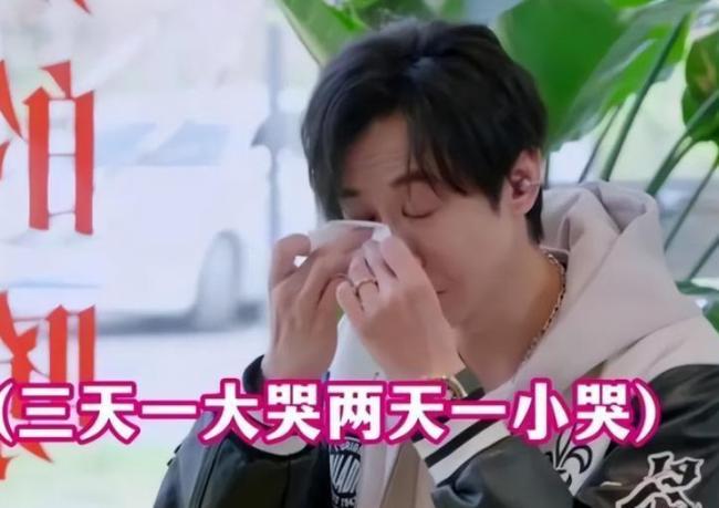 张维伊说买礼物必须是董璇付钱 经济裂痕显露无疑
