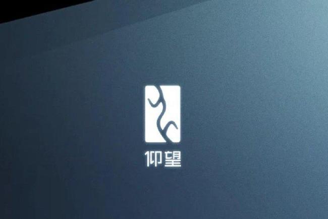 比亚迪海外高增长下的盈利谜团 国内外市场分化战局