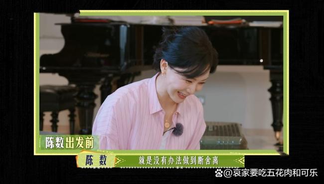 陈数把空调插头拔了
