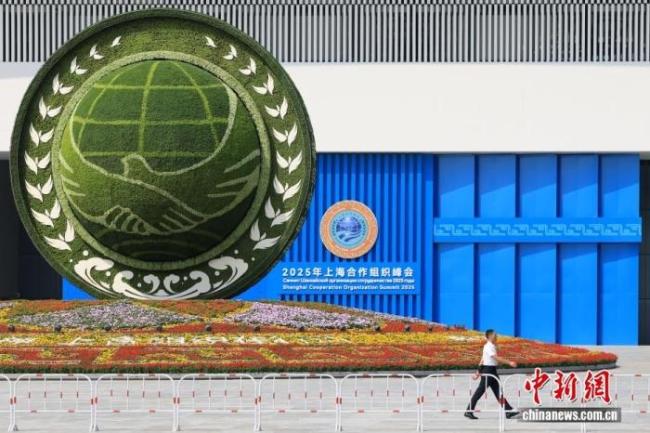 普京新闻秘书称赞中国菜：非常美味