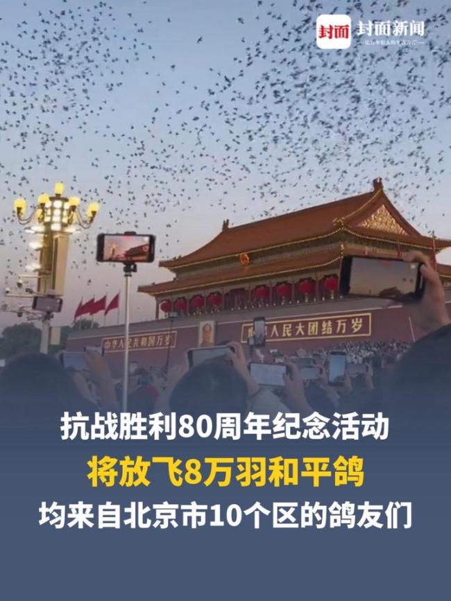 放飞和平鸽：铭记历史股指配资股市有哪些，缅怀先烈