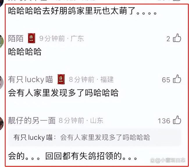 和平鸽也有工资 每只补助15块