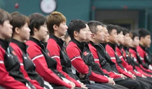 孙颖莎王楚钦郑钦文等阅兵观后感 我辈自强未来可期