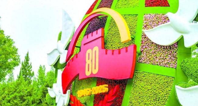 日德反阅兵踩红线，战败国为何如此嚣张？中国必将严惩不贷！