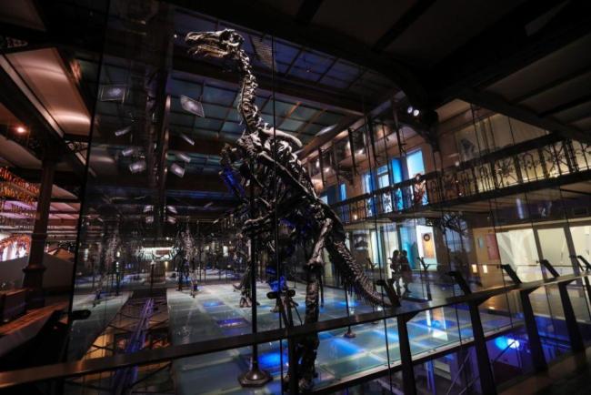 我国为何要规划撞击一颗小行星 验证防御方案可行性