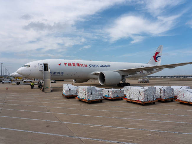 古埃及文明大展展品分批返回埃及 “法老包机”启程