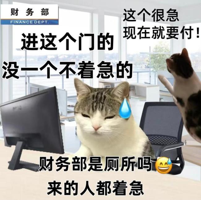 原来会计才是最多半岛官网入口网页版在线吃瓜最多的行业 来看看说的是不是你