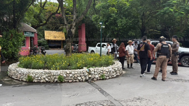 曼谷一动物园员工遭狮群袭击身亡 悲剧持续15分钟