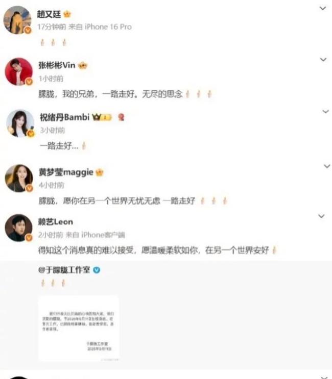 于朦胧去世粉丝心好痛 古风美男陨落