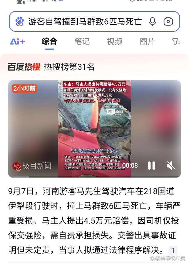 交警回应游客自驾撞死6匹马