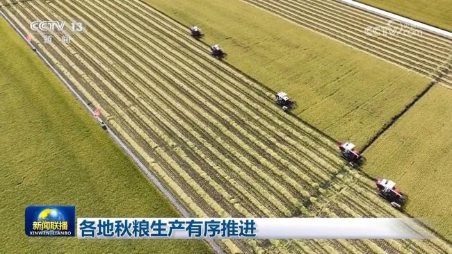 各地秋粮生产有序推进