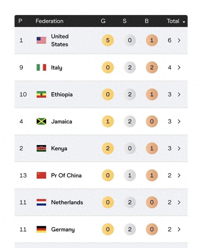 东京田径世锦赛中国队首度获得奖牌 女子链球创佳绩