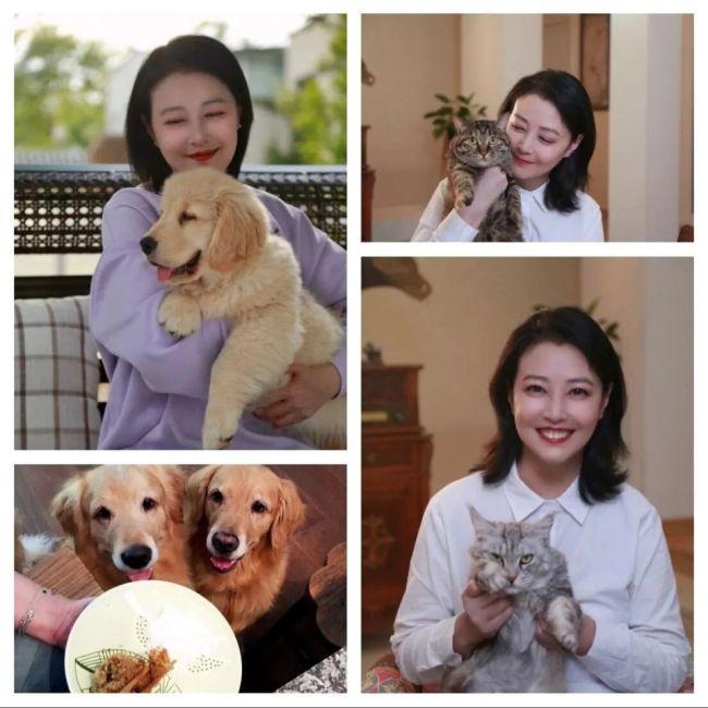 演员李勤勤发文：愿意收留于朦胧爱犬 愿为离世艺人宠物兜底