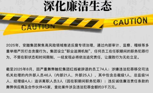 安踏8个月辞退74名严重舞弊员工 反腐专项治理成效显著