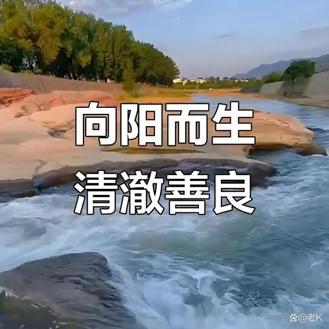 58.9万善款 全额退还28689位网友 诚信与善良的轮回