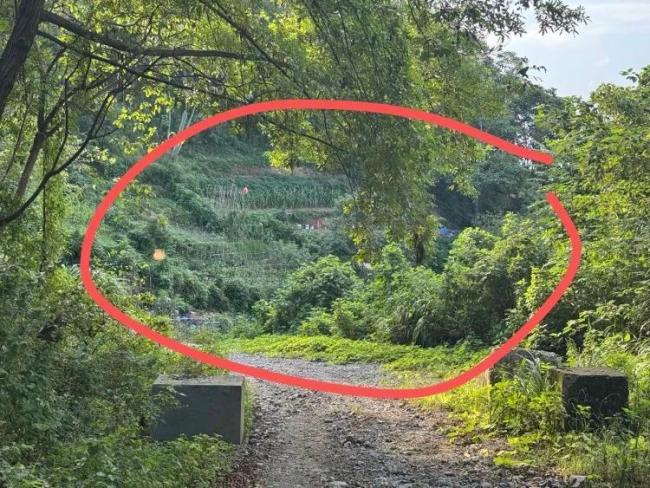 参观一名52岁妇女意外触摸氢氟酸并死亡的现场。